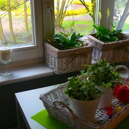 Apartmán Kamienica Gorna 7 Olštýn Exteriér fotografie